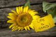 Yellow card with a Life is good message leaning on a beautiful b