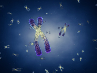 Canvas Print - Chromosomes , genetic engineering , DNA