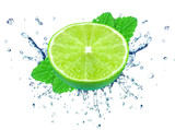 Fototapeta Dinusie - lime splash  and mint isolated on white background
