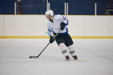 Wall Mural - ice hockey player in action