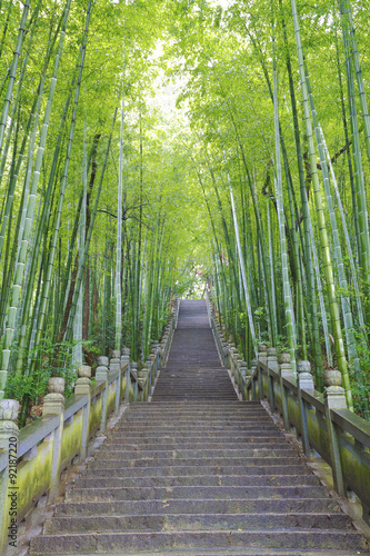 Naklejka dekoracyjna Scenic mountaineer step stairs next to the bamboo forest