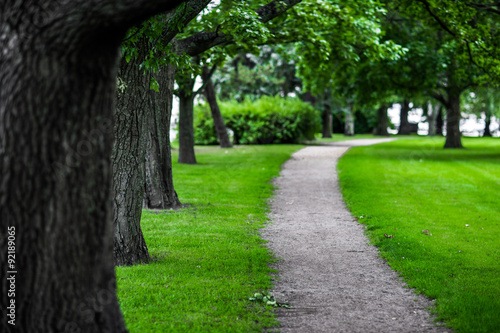 Fotografia, Obraz promising avenue, the track of the columns and trees
