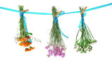 Fototapeta Lawenda - Various herbs and flowers drying on thong on light background