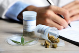 Fototapeta  - Doctor writing on prescription blank and bottle with medical cannabis on table close up