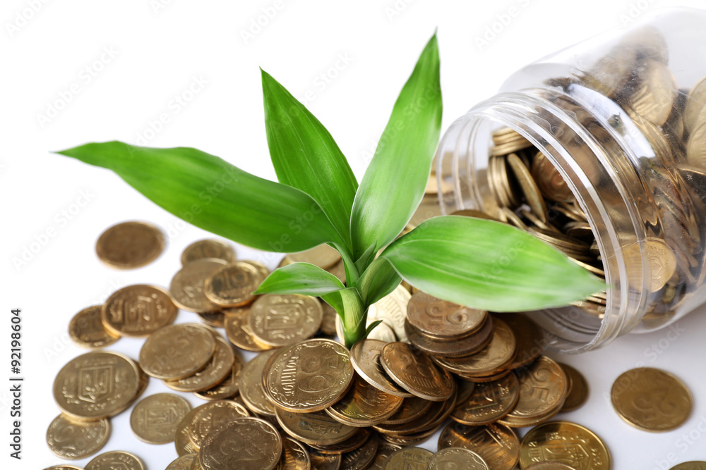 Plant growing in coins scattered from the bottle