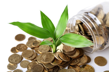 Wall Mural - Plant growing in coins scattered from the bottle