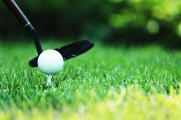 Sticker - Golf balls and driver on green grass  background