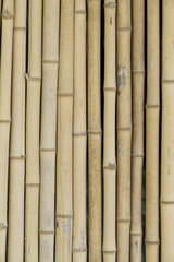  bamboo wall background