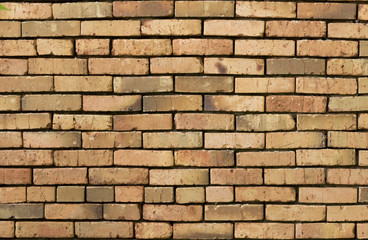 Wall Mural - brick wall background