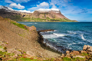 Wall Mural - Coastline of the Arctic sea in Iceland