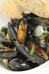 Canvas Print - cooked mussels moules marinier