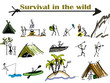 survival in the wild