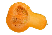 Butternut Squash Isolated On White Background