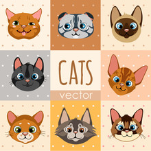 A Set Of Eight Colorful Cartoon Cat Faces