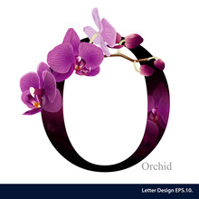 Letter O Vector Alphabet With Orchid Flower. ABC Concept Type As