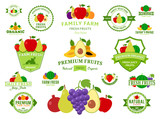 Fototapeta Pokój dzieciecy - Fruits Logos, Labels, Fruits Icons and Design Elements