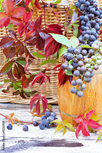 Naklejka dekoracyjna Grapes on barrel in leaves wild grapes 