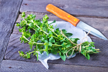 Canvas Print - marjoram sprig