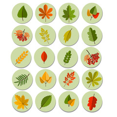 Canvas Print - Set of colorful autumn leaves. Autumn icon set. Fall leaves and berries. Nature symbol vector collection isolated on white background.