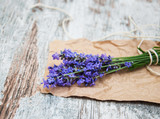 Fototapeta  - lavender flowers