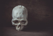 Still Life Photography With Human Skull On Wood Table