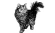 Cat walk draw monochrome vector on white background.