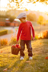 Canvas Print - Adorable little boy with basket of apples and book