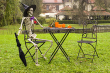 Halloween Skeleton Decoration In Garden
