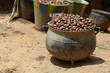 Shea nuts to prepare butter in Bamako.
The English name 