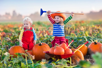 kids picking pumpkins on halloween pumpkin patch