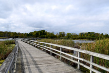 Boardwalk Over Marsh