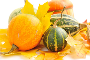 Sticker - Decorative pumpkins and autumn leaves for halloween