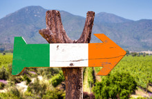 Ireland Flag Wooden Sign With Winery Background