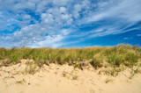 Fototapeta  - Landscape with sand dunes at Cape Cod