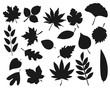 © sunshine_art - Collection of leaf silhouettes