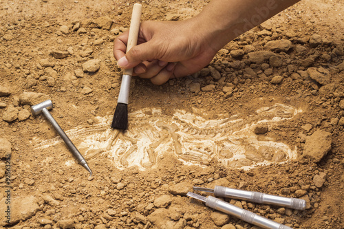 Fotografía Esqueleto y tools.Training arqueológica de fósiles excavación.