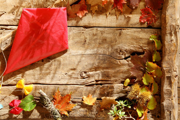 Wall Mural - Autumn background with vivid red kite