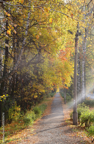 waska-droga-wsrod-drzew-i-latarnii-jesien