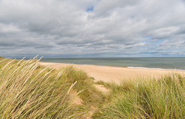 Wall Mural - Sand Dunes at Winterton on Sea