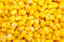 Bulk Of Corn Grains