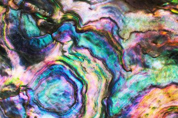 Wall Mural - high magnification macro of pearl shell.