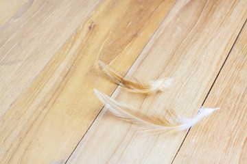 two chicken feather on wooden board