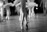Fototapeta  - Long and lean ballet dancers legs