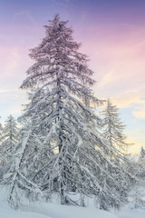 Canvas Print - Winter landscape in mountains Julian Alps, Slovenia