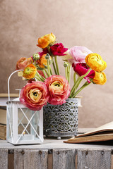 Wall Mural - Colorful persian buttercup flowers (ranunculus)