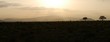Landschaft in Kenia während Sonnenuntergang