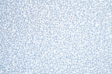Abstract Background From Blue Styrofoam Ball Texture