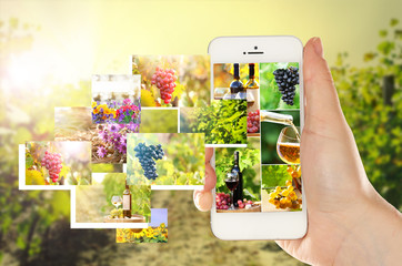 Wall Mural - Hand holding smart phone with streaming images