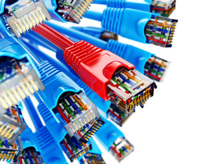 Leinwandbilder - LAN network connection Ethernet RJ45 cables. Choise of provider
