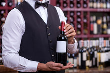 Professional Young Sommelier Is Working In Liquor Store